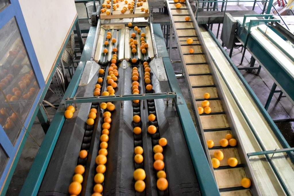 Packing House Fresh Fruit Group